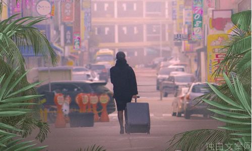 电影《首尔夜女郎》解说文案