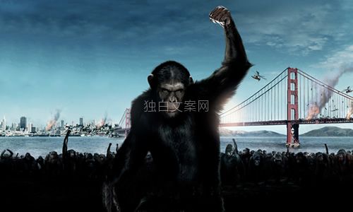 电影《猩猿崛起》解说文案