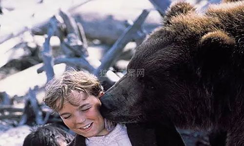 电影《人熊传奇》解说文案